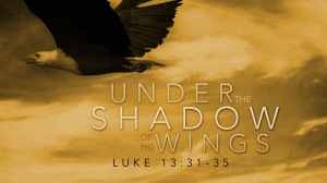 under the shadow of his wings_wide_t